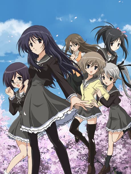 DVD Edition