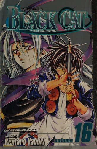 Black Cat, Vol. 16