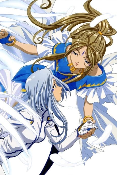 DVD Edition