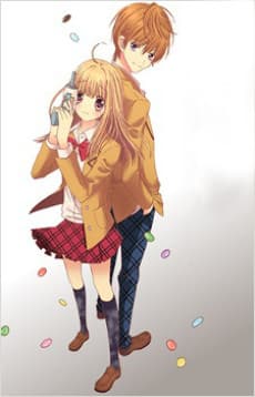 DVD Edition