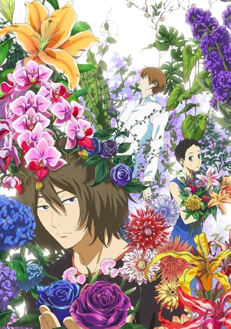 DVD Edition