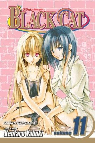 Black Cat Vol. 11