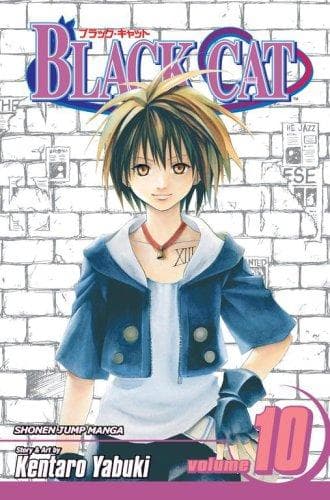 Black Cat Vol.10