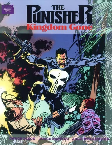 Punisher: Kingdom Gone