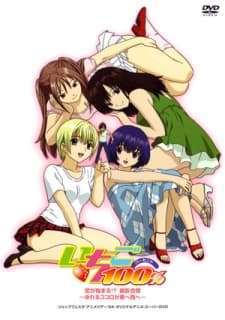 DVD Edition