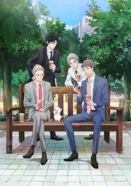 DVD Edition