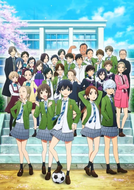 DVD Edition