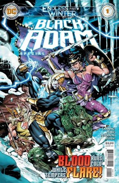 Black Adam: Endless Winter Special