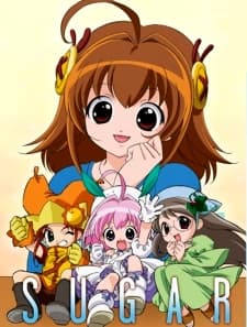 DVD Edition