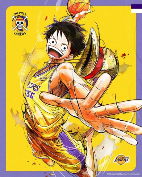 DVD Edition