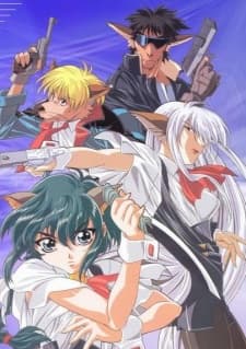 DVD Edition