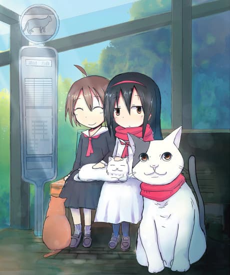 DVD Edition