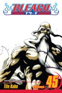 Bleach #45