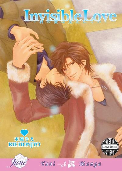 Invisible Love cover — © Digital Manga Publishing