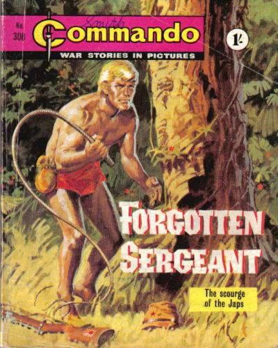 Commando: War Stories in Pictures 308