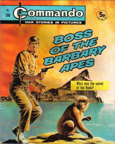 Commando: War Stories in Pictures #568