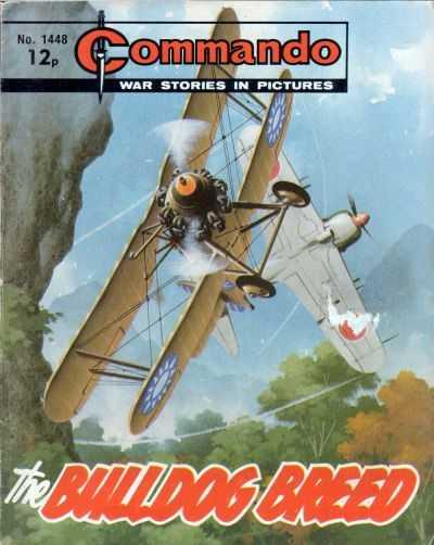 Commando: War Stories in Pictures #1448