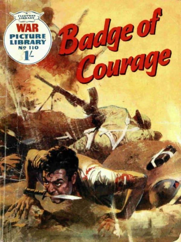 War Picture Library 110