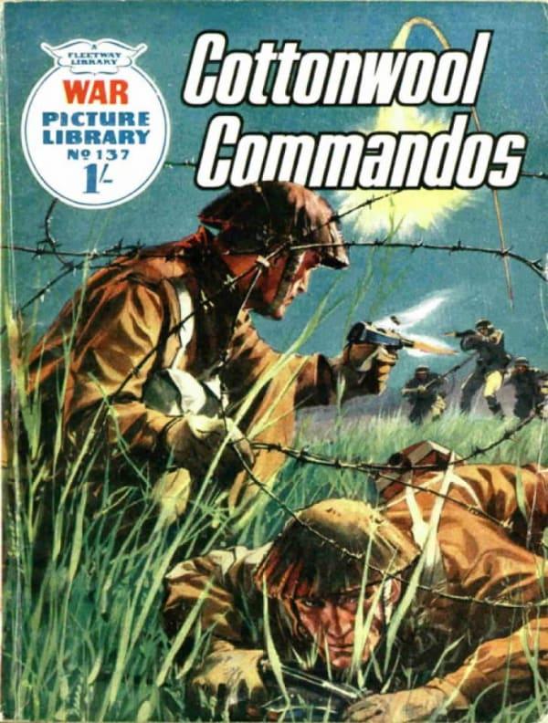 War Picture Library 137