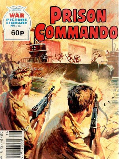 War Picture Library 316