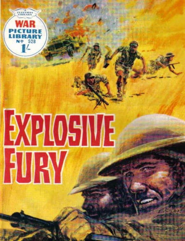 War Picture Library 528