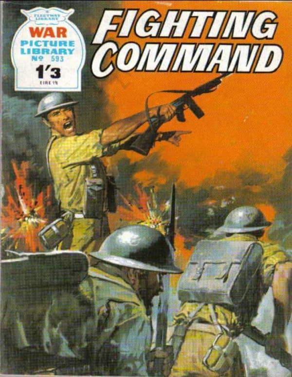War Picture Library 593