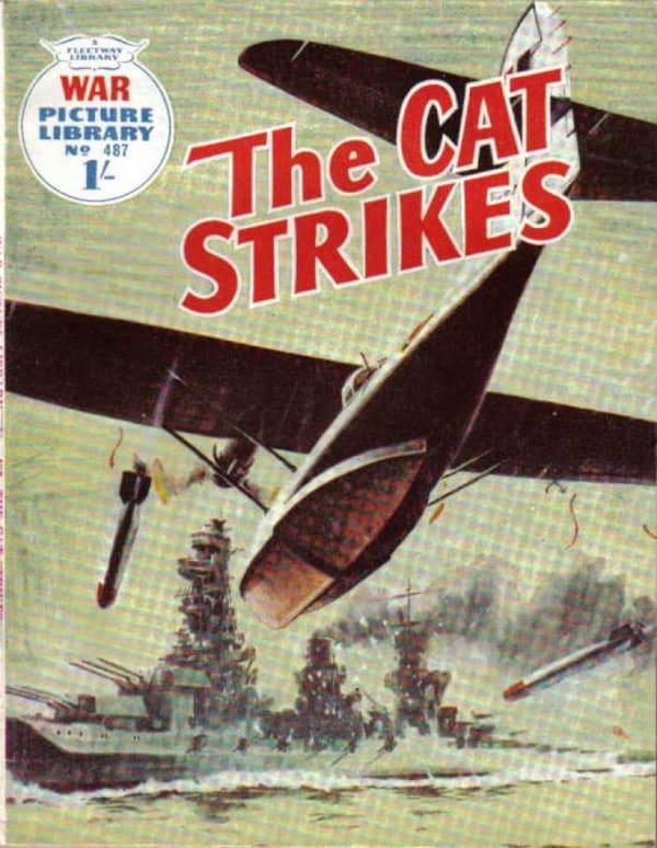 War Picture Library 487