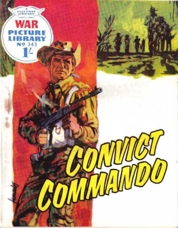 War Picture Library 343