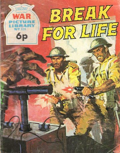 War Picture Library 828