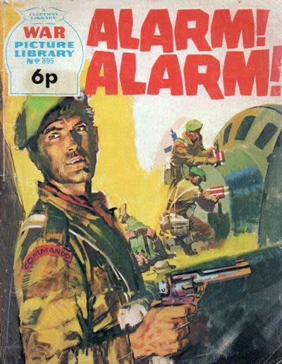 War Picture Library 895