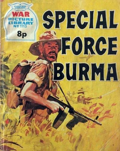 War Picture Library 1113