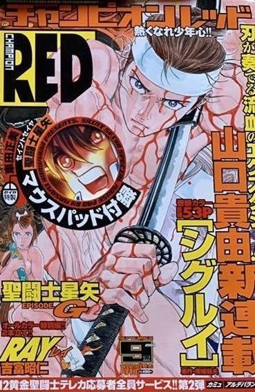 Champion Red #200309