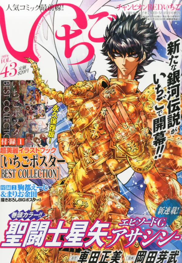 Champion Red Ichigo 43