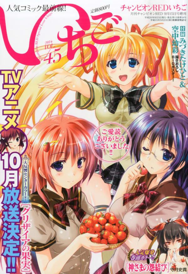 Champion Red Ichigo 45