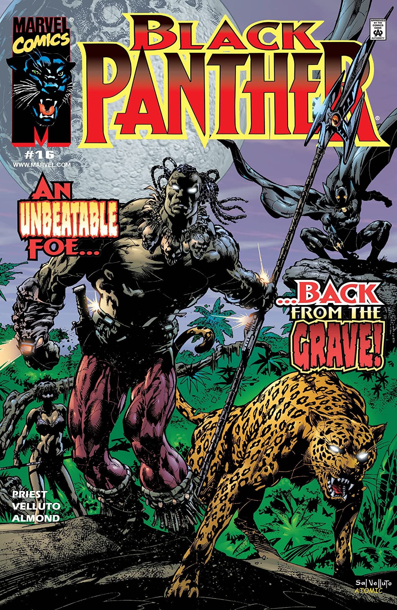Black Panther #16 cover
