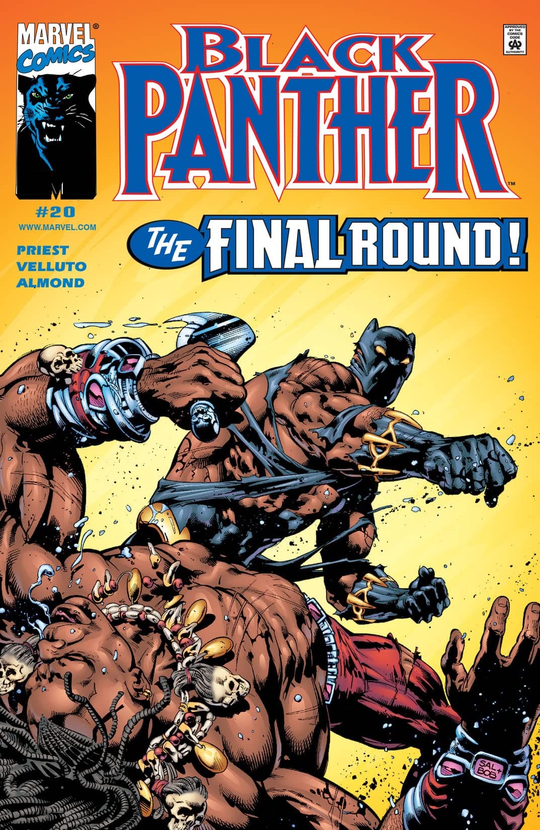 Black Panther #20 cover