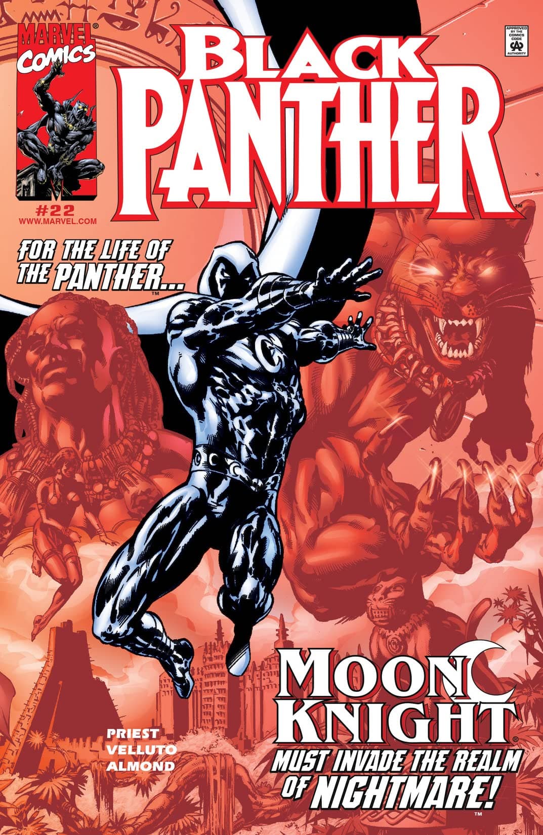 Black Panther #22 cover