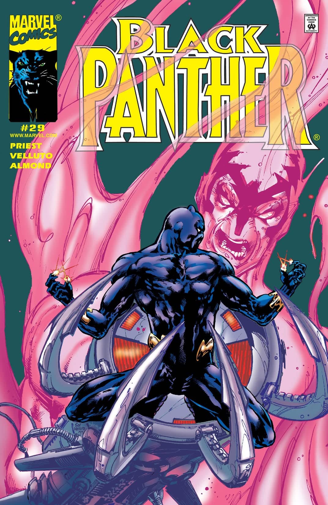 Black Panther #29 cover