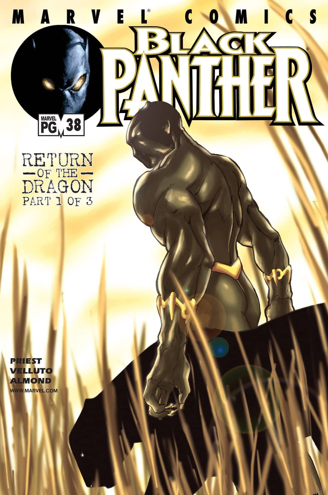 Black Panther #38 cover