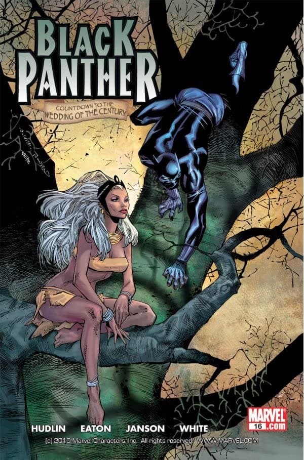 Black Panther #16 cover