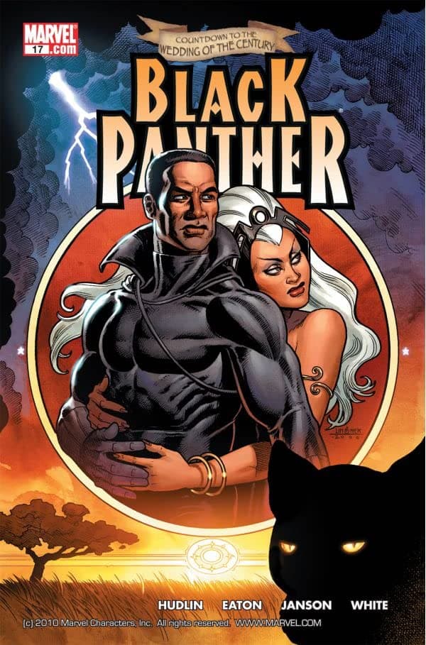 Black Panther #17 cover