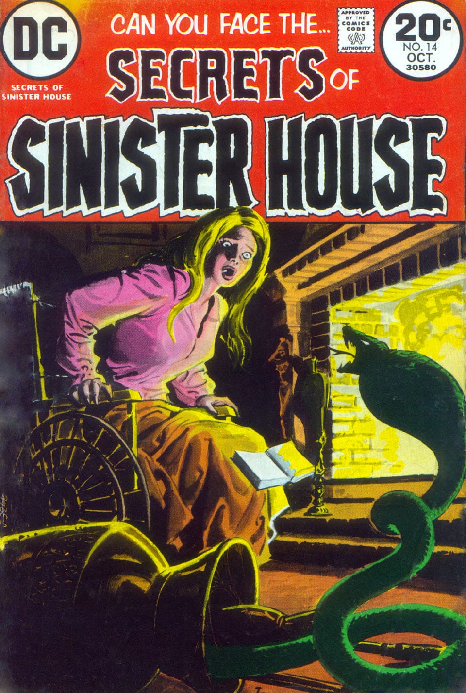 Secrets of Sinister House #14 cover