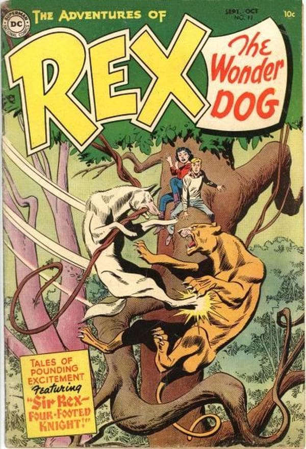 The Adventures of Rex the Wonder Dog #17 cover