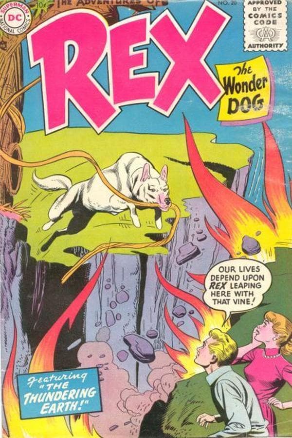 The Adventures of Rex the Wonder Dog #20 cover