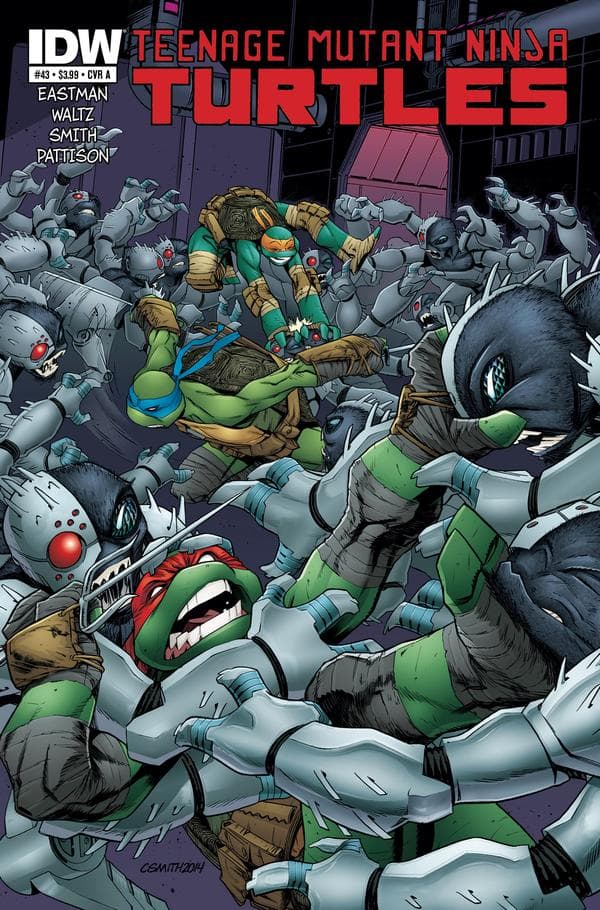 Teenage Mutant Ninja Turtles #43 cover
