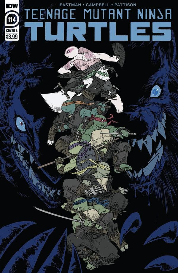 Teenage Mutant Ninja Turtles #114 cover