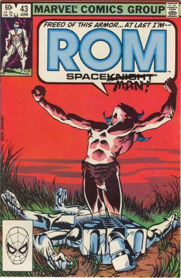 Rom #43
