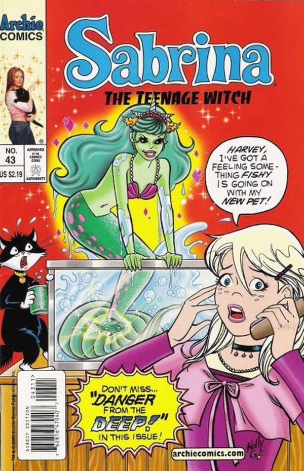 Sabrina the Teenage Witch #43 cover
