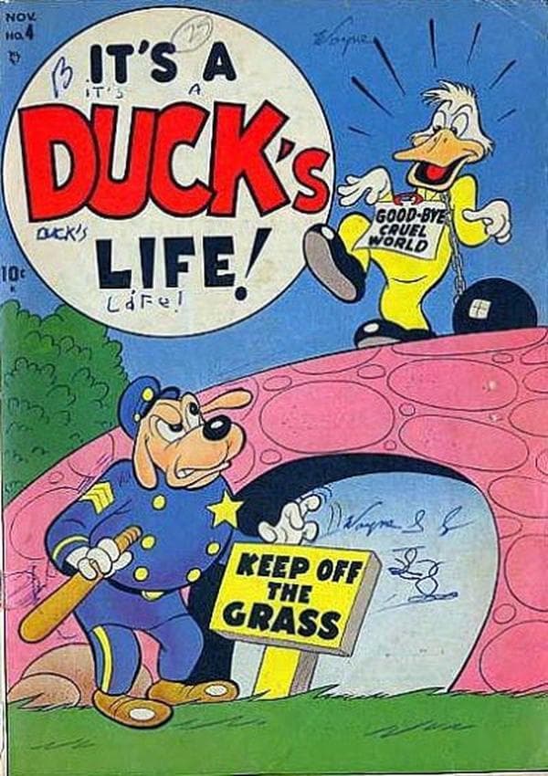 It's a Duck's Life