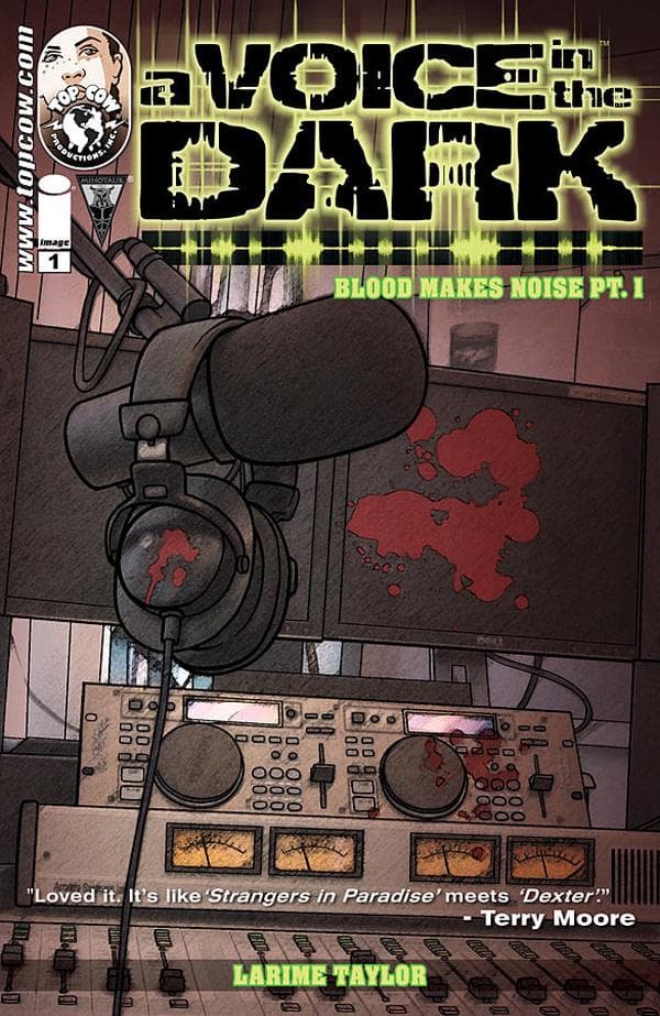 A Voice in the Dark cover — © Image Comics